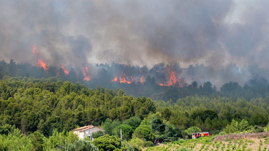 Incendies dans les Pyrénées-Orientales : en deux jours, trois fois plus d'hectares brûlés que l'an dernier
