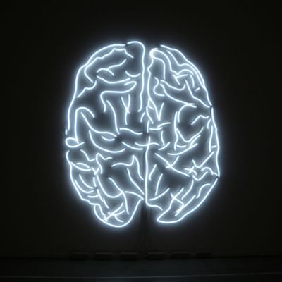 Adel Abdessemed, Trust Me, Head On, Hot Blood