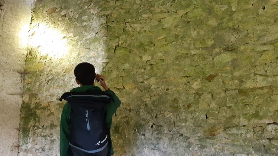 Participez au grand recensement des chauves-souris en Brenne