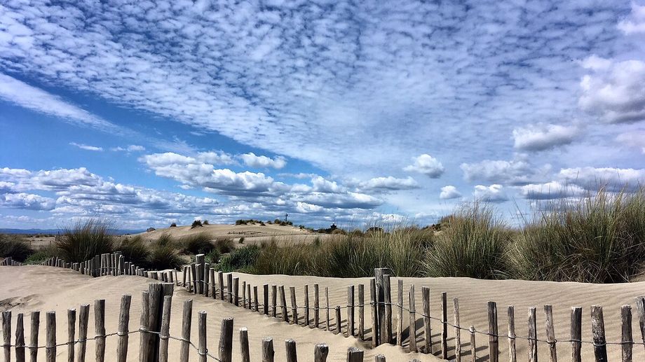 Un couple de vacanciers remporte un million d'euros au Millionnaire au Grau-du-Roi