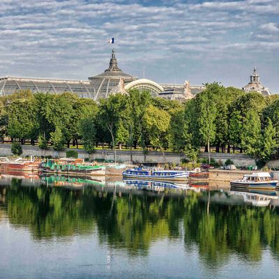 Quais de Seine et grand palais en arrière plan (Paris)