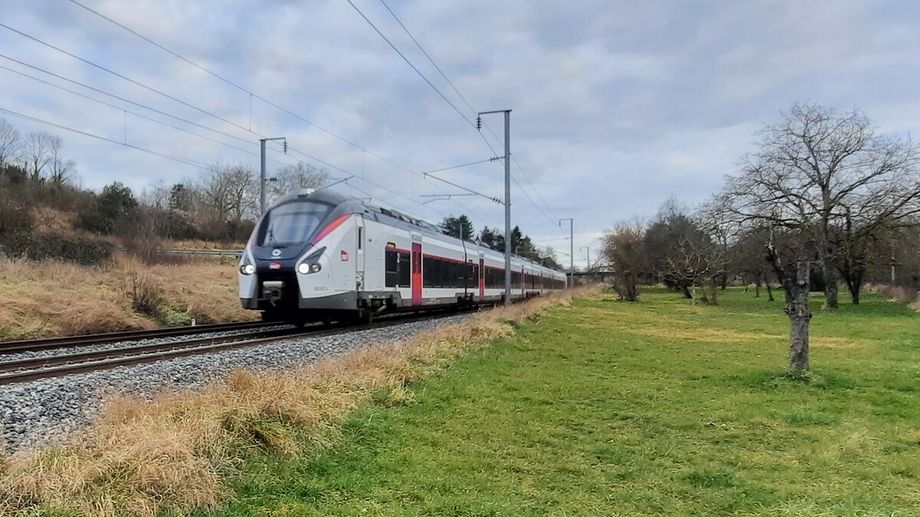 Orages : la ligne SNCF Paris-Tarbes coupée en raison d'un arbre sur les voies