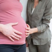La relation entre parents d'intention et femme porteuse est contractuelle à différents degrés selon les Etats.
