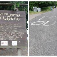 Sur les routes Ariègeoises, deux opinions s'affrontent sur la présence de l'ours