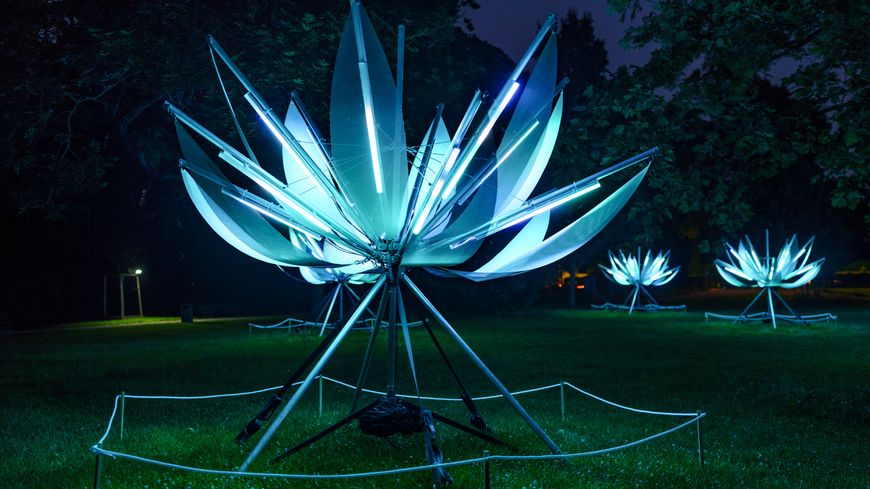 Lotus Nicolas Paolozzi