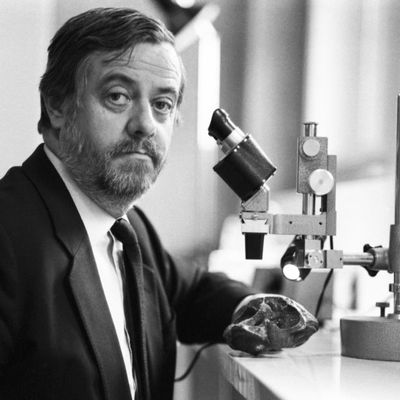 Le paléontologue Yves Coppens dans son laboratoire en 1984