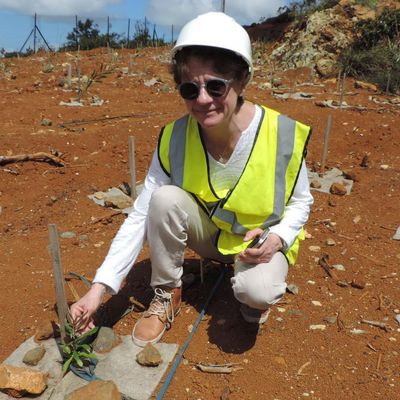 Claude Grison, chercheuse du Centre national de la recherche scientifique (CNRS), posant devant une parcelle expérimentale de plantes accumulatrices de métaux, le 25 mars 2016.