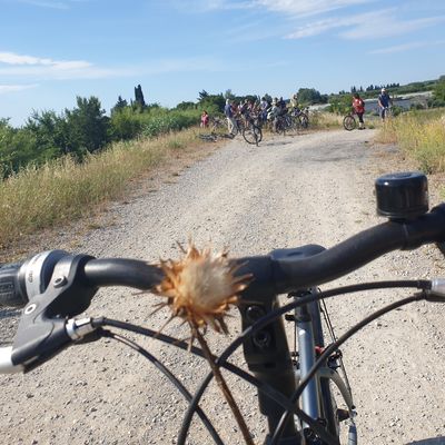 Chardon et vélo