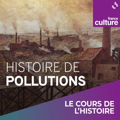 Histoire des pollutions
