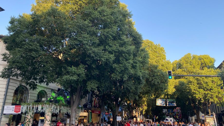 Feria de N�mes : un �tudiant victime d'une piq�re boulevard Victor Hugo, deux N�mois arr�t�s par la police