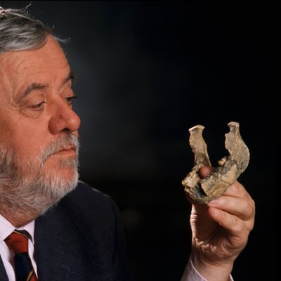 Le paléontologue Yves Coppens au Collège de France en 1999