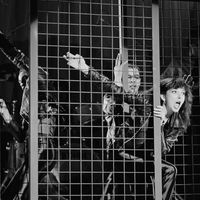Kate Bush