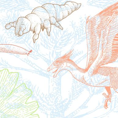 Couverture du "Guide critique de l'évolution - 2ème édition" par Guillaume Lecointre