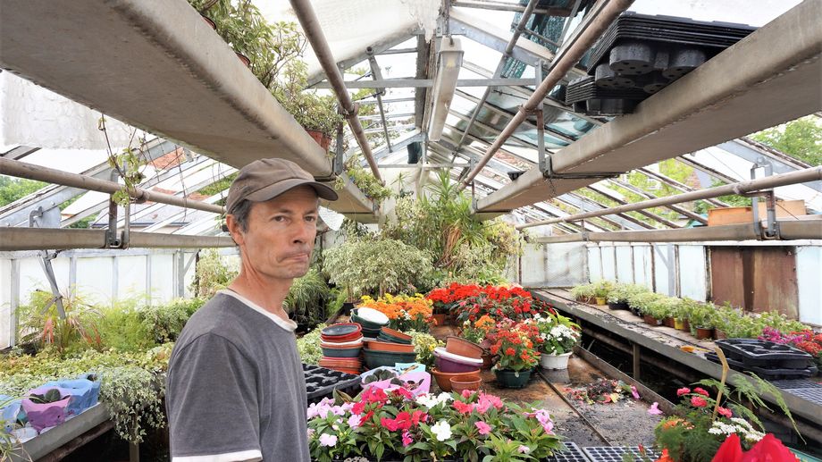 PHOTOS - 1.600 m�tres carr� de serres en verre saccag�s par la gr�le chez un p�pini�riste d'Indre-et-Loire