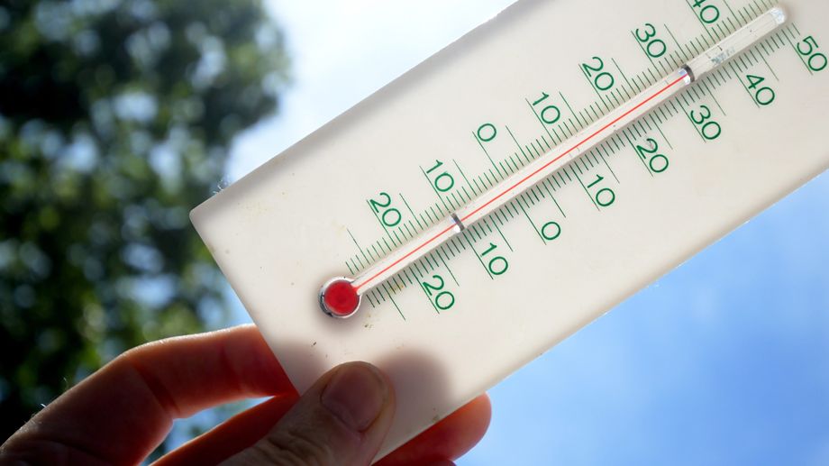 Canicule : pluie de records de temp�ratures dans les deux Charentes 