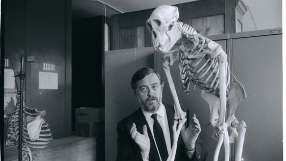Le paléontologue Yves Coppens en 1983 ©Getty - Sophie Bassouls/Sygma