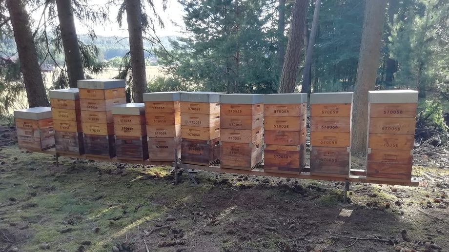 Le Rucher Des Jardins à Metting