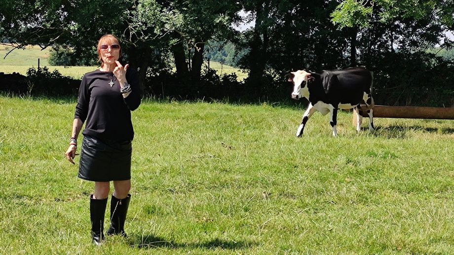 La chanteuse Jeanne Mas rend visite � Etienne, jeune taureau sauv� de l'abattoir