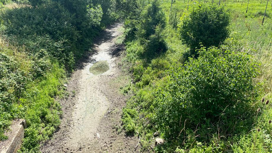 Sécheresse : la rivière La Dive Nord déjà à sec dans la Vienne, la faune et la flore disparaissent