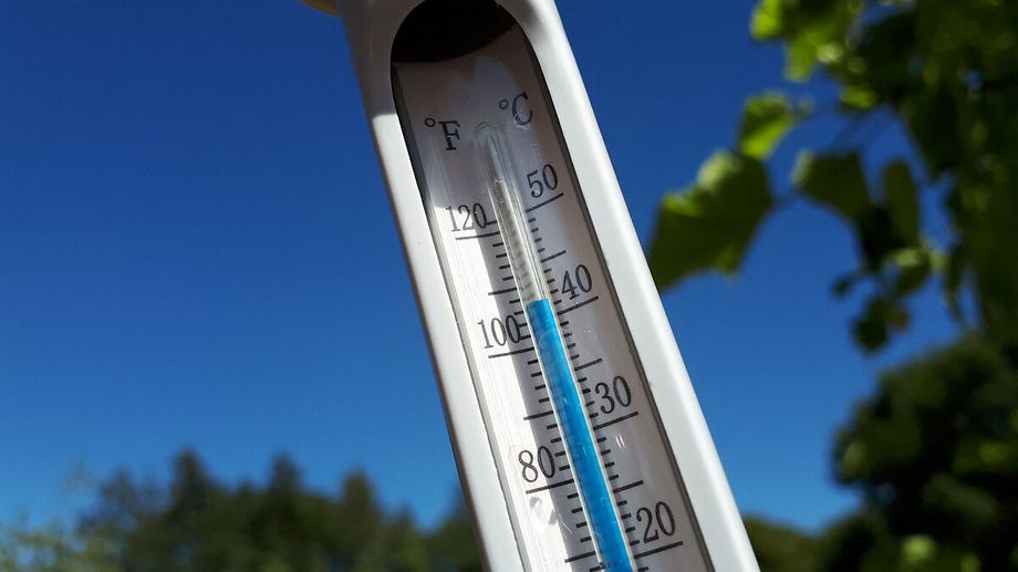 Bretagne : nouveaux records de temprature ce samedi