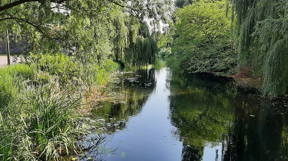 Vents violents en Alsace : la ville de Strasbourg ferme ses parcs et cimeti�res � partir de 15h30