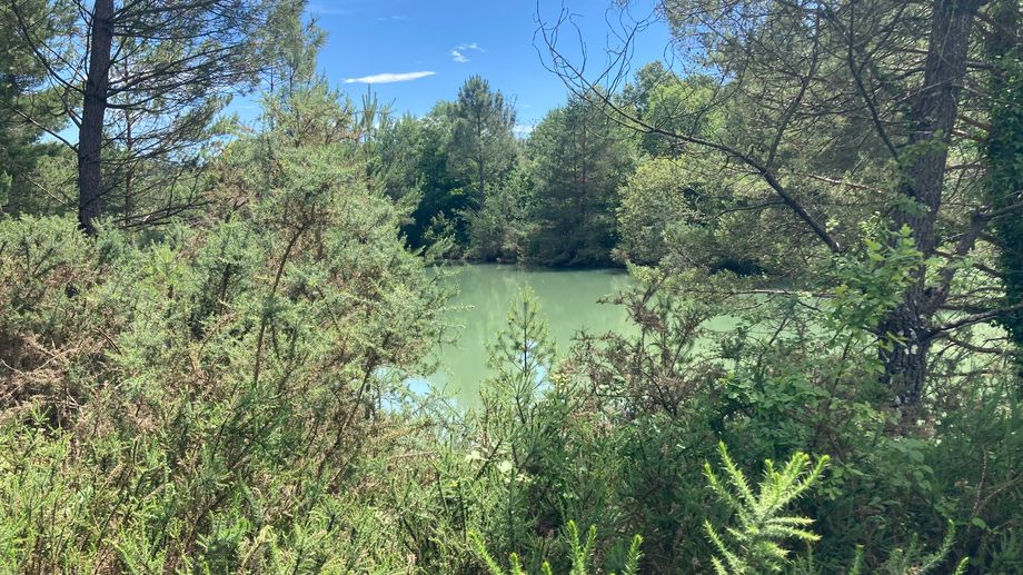 Un pêcheur de 24 ans meurt noyé dans un étang de Dordogne