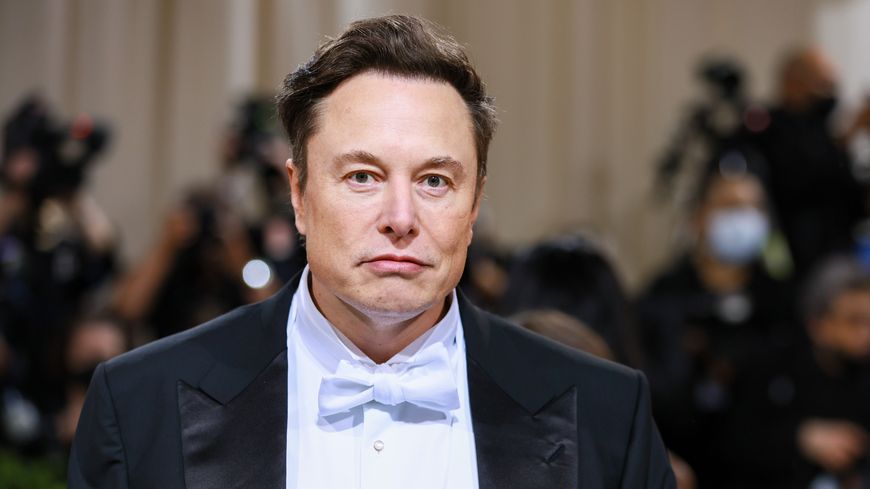 Elon Musk (photo : Theo Wargo)