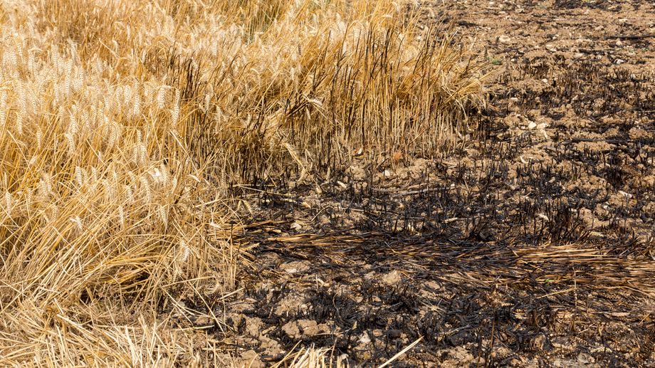 Charente-Maritime : un feu de tracteur se propage sur 30 hectares � Tonnay-Boutonne  