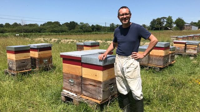 En Mayenne, la récolte de miel s'annonce prometteuse