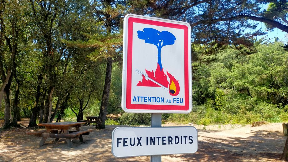 Risque incendie : la forêt d'Olonne interdite d'accès pour la première fois