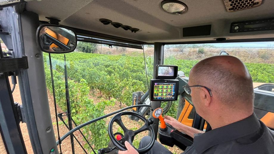 Vendanges un 29 juillet: 