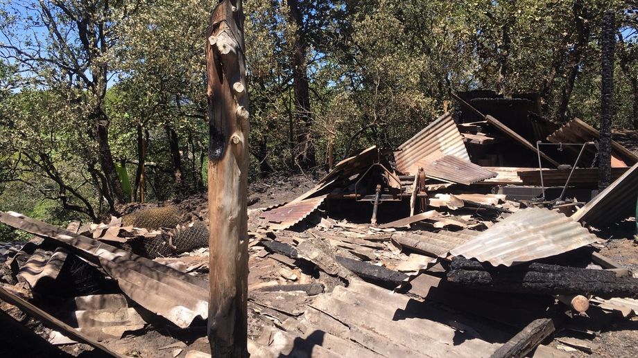 PHOTOS - Le feu de Piolenc est arriv� � quelques dizaines de m�tres d'habitations 