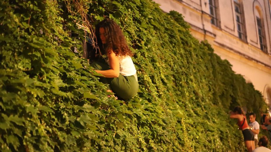 PHOTOS - Les affiches du festival envahissent Avignon