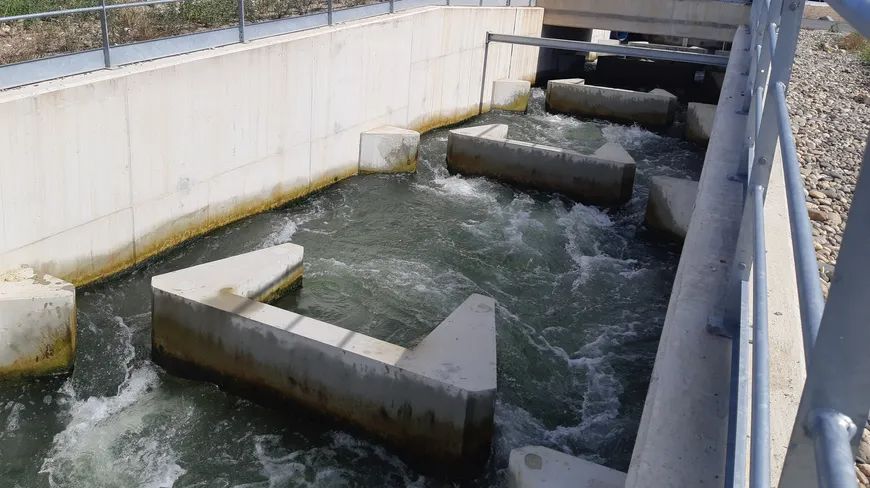 La plus grande passe � poissons de France inaugur�e sur la Garonne, pour faciliter la reproduction