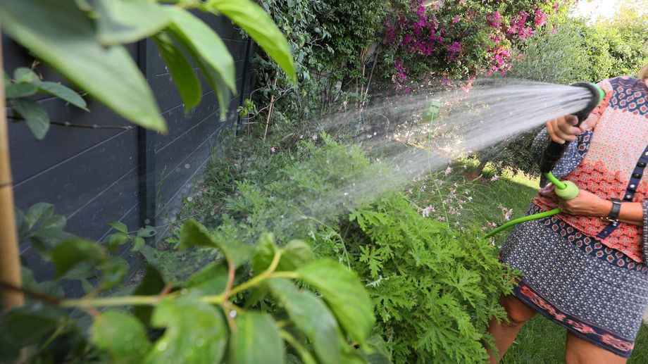 Alerte s�cheresse : Nantes et la M�tropole s'adaptent aux restrictions d'eau potable