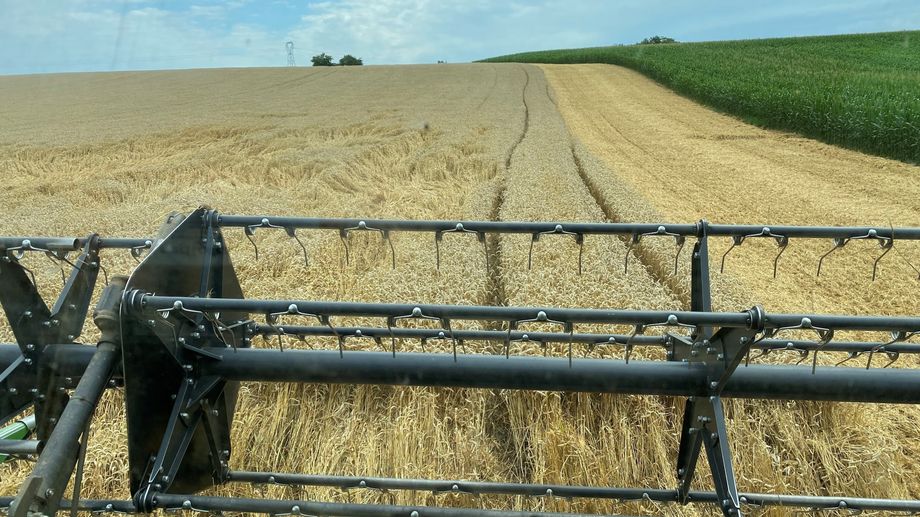 VIDEO - En Alsace, les fortes chaleurs du printemps ont avanc� la date des moissons