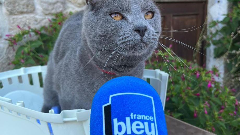 Des habitants de Bordezac fuient l'incendie avec leur chat
