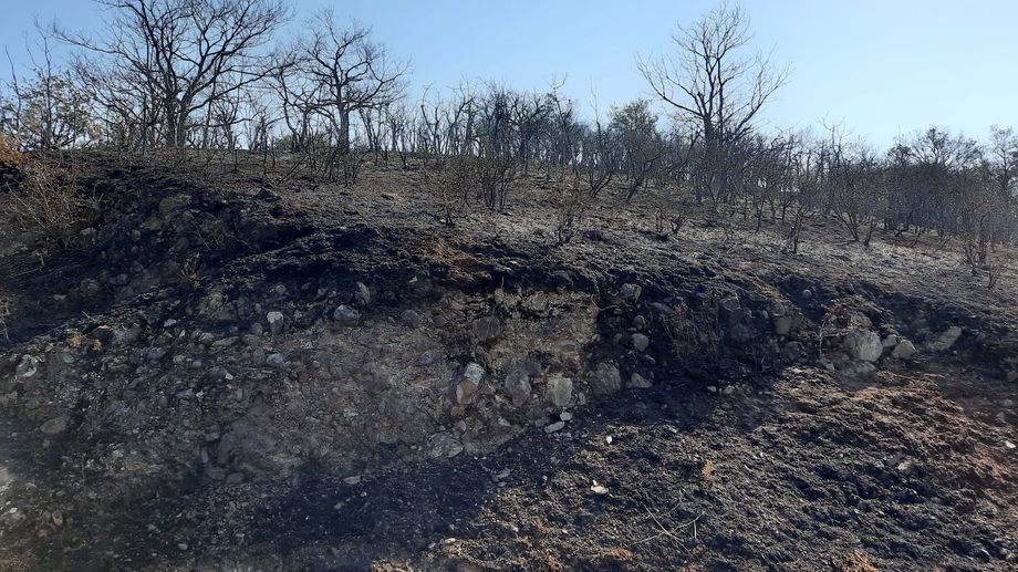 EN IMAGES - Après l'incendie de Montrelais,