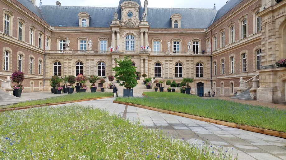 Prairie fleurie � Amiens : un 