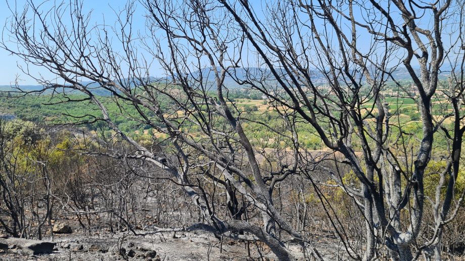 Ard�che : entre 80 et 90 hectares de v�g�tation d�truits dans un incendie � Vallon-Pont-d'Arc
