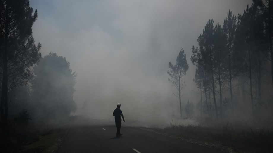 Incendies en Gironde : l'homme arrêté pour le feu de Landiras mis hors de cause