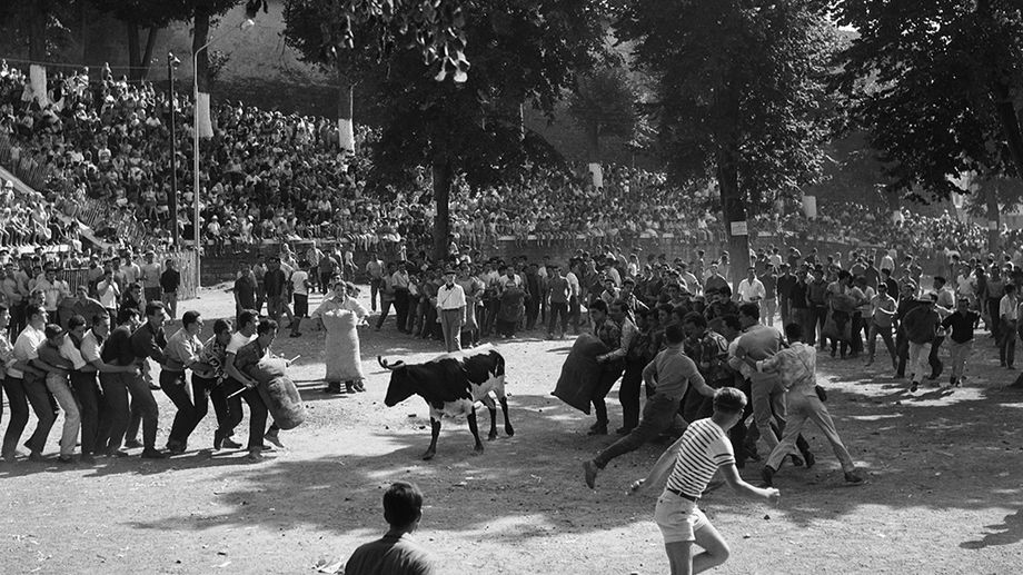 Les F�tes de Bayonne de leur cr�ation au roi L�on