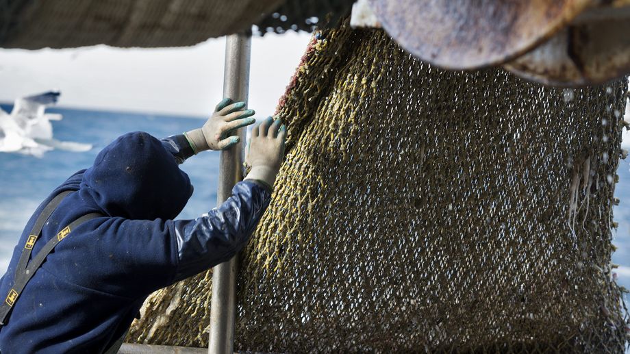 Une suspicion de pollution aux hydrocarbures dans le golfe de Fos : la p�che est interdite