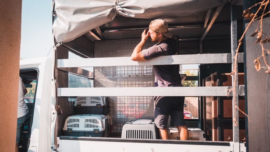 Incendies en Gironde : 32 animaux du zoo d'Arcachon recueillis � La Fl�che 