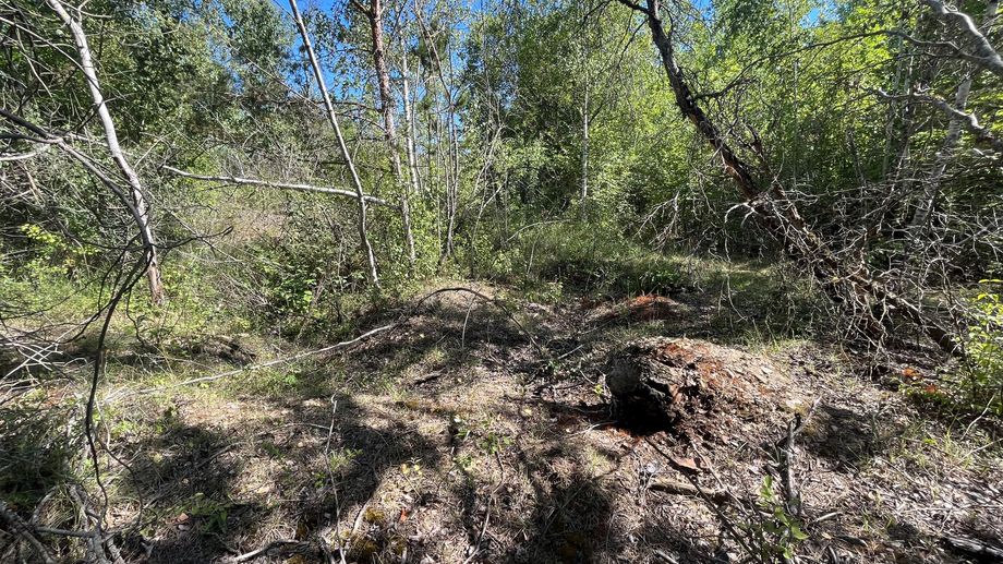 Risque d'incendie dans les for�ts lorraines : les citoyens doivent-ils s'engager ? 