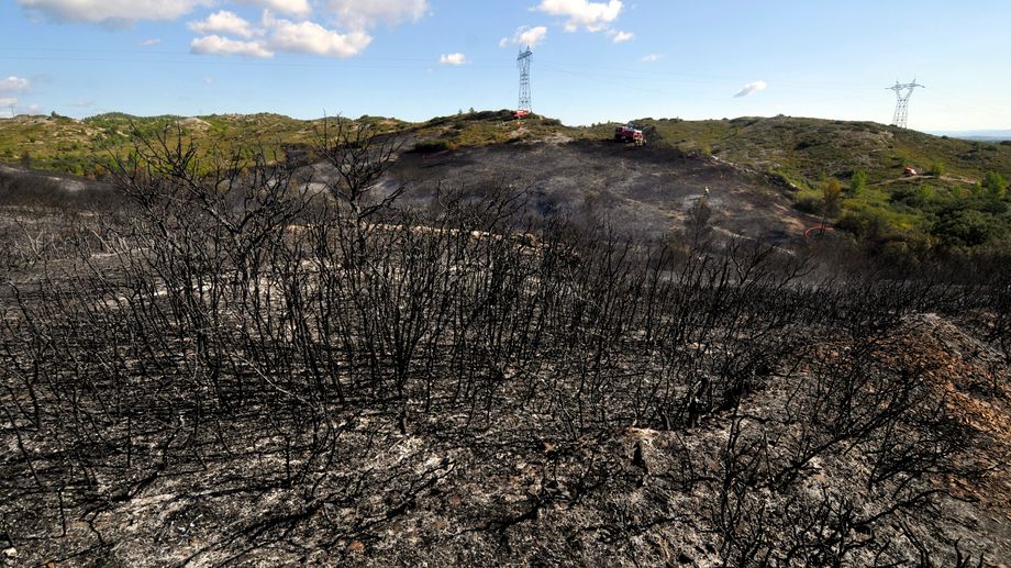 Apr�s l'incendie de la Montagnette, faut-il reboiser le massif ?