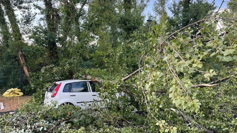 PHOTOS - Des arbres couchés sur les voitures à Saint-Martin-de-Valgalgues à cause des orages dans le Gard