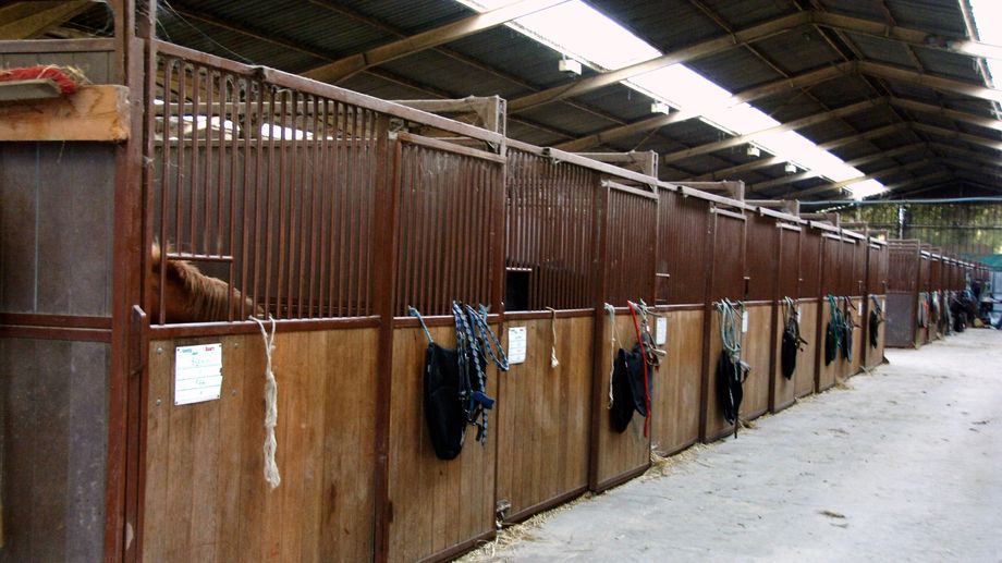 En vacances à Espelette, une fillette de 8 ans décède d'une chute à poney