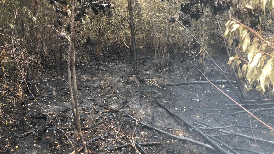Incendie au sud du Mans : 120 pompiers sur place jusqu'à dimanche soir