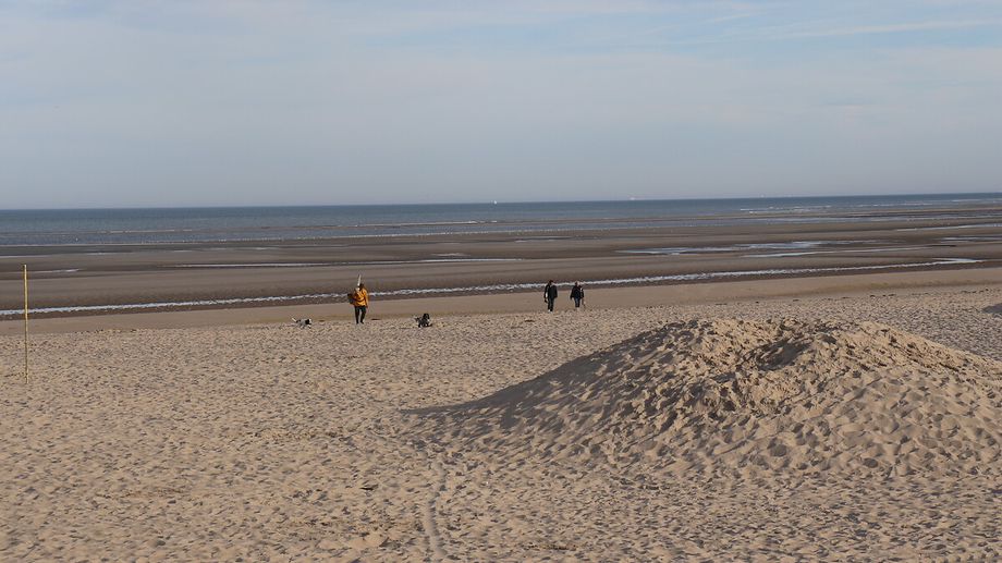 Un homme de 68 ans meurt noyé au Touquet